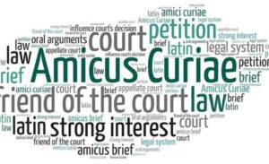 Amicus Curiae Law Insider IN