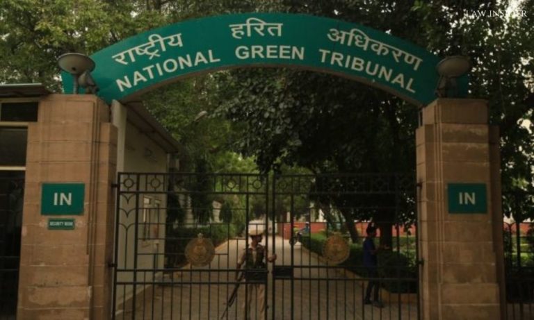 NGT Gate entrance tree campus in