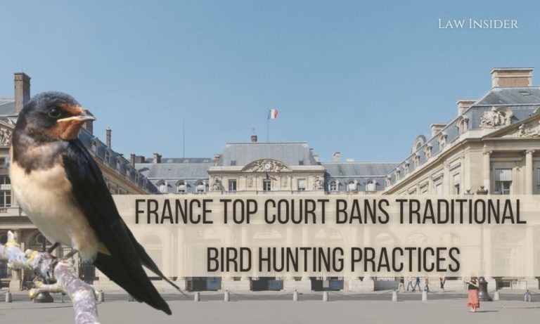 France Top Court bans Traditional Bird Hunting Practicesbird Law Insider