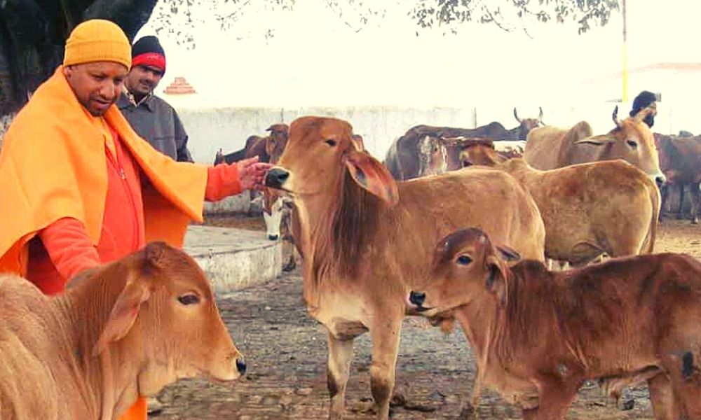 Allahabad HC Cow Protection Hindu Fundamental Right- law insider