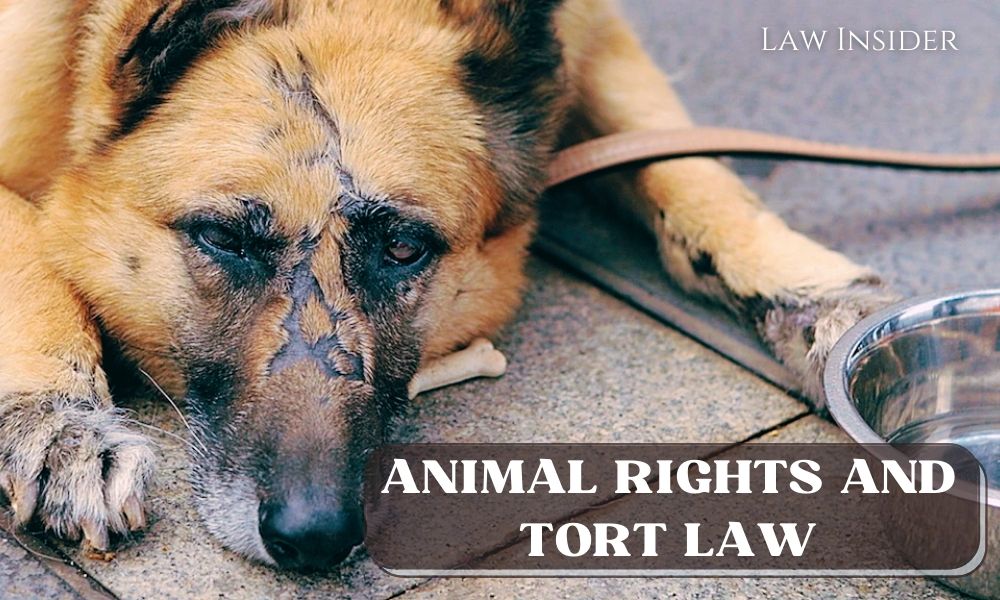 Correlation between Animal Rights and Tort Law - Law Insider India