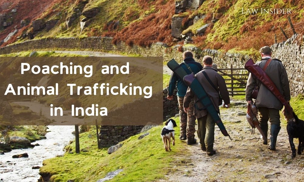 Laws against Poaching and Animal Trafficking in India - Law Insider India