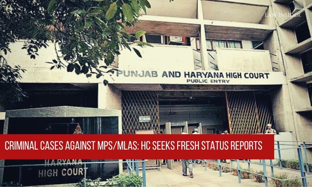 Punjab Haryana high Court Criminal Cases MP MLA
