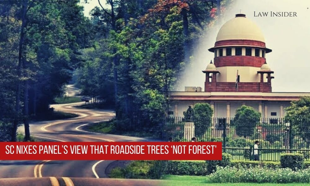 Supreme Court Roadside Trees Forests