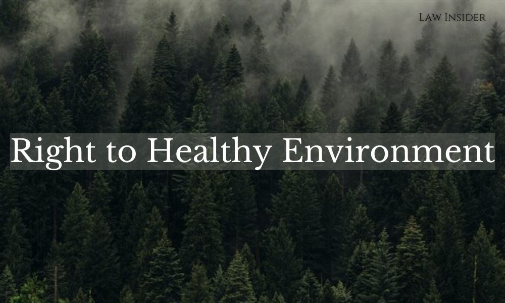 Right to healthy environment Law Insider