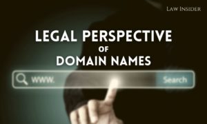 Domain Name Legal Perspective Law Insider