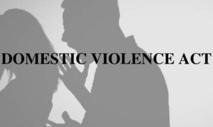DOMESTIC VIOLENCE ACT Law Insider