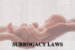 Surrogacy Law Law Insider