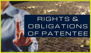Patent Rights and Obligations Law Insider