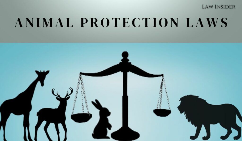 Amendment in Animal Protection Laws - Need of the Hour - Law Insider India