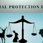 ANIMAL PROTECTION LAWS Law Insider