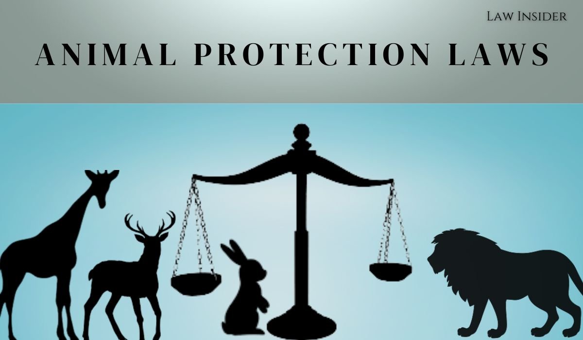 ANIMAL PROTECTION LAWS Law Insider