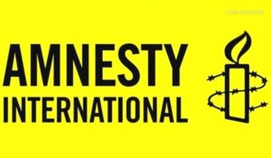 Amnesty International Law Insider