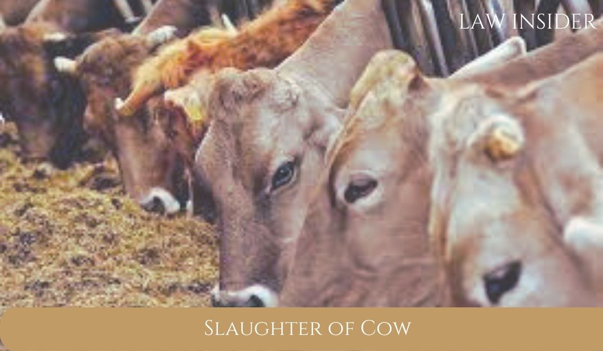 Cow slaughter- Law Insider